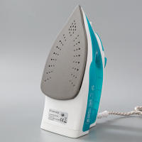 Plancha de vapor de cinco velocidades con vapor + pulverizador de agua + plancha de vapor de mano autolimpiable, máquina de planchado con certificación europea. - details 18
