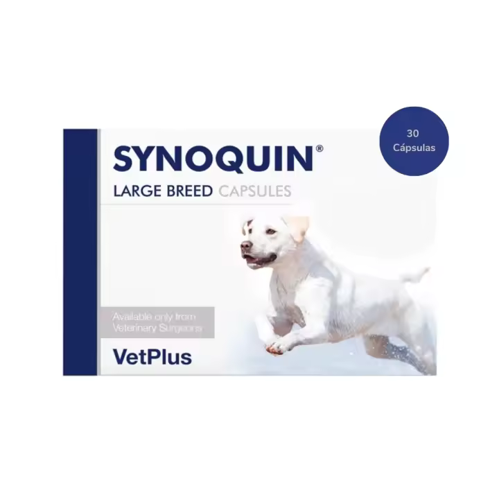 VETPLUS - Synoquin - Condroprotector para Perros de Raza Grande >25 kg (Cápsulas) - 1