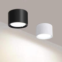 Lámpara De Techo LED Nordic 9W 15W 20W Montada En La Superficie Iluminación Interior Para Sala De Estar Y Dormitorio AC220V Negro Y Blanco - details 1