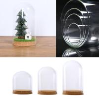 Jarrón De Vidrio Transparente Con Cubierta De Cúpula Y Base De Madera Para Suculentas Terrarium Decoración De Boda Y Navidad Moderno - details 6