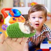 Sleeping Cat Toy Small Cat Stuffed Animal Plush Toy Kitten with Meows Sound (Random Color Cat in Slipper) - details 4