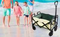 Carro Plegable con Ruedas Grandes und Manija Ajustable, Carro Transporte para Jardín, Playa, Camping, Capacidad de Carga 80 KG - details 0