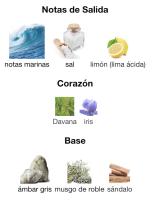 ATLAS LATTAFA 55 ML Lattafa Perfume hombre   MADE IN DUBAI - perfumes árabes originales - perfume mar salado - details 0