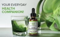 Benevolent Nourishment Liquid Chlorophyll Drops