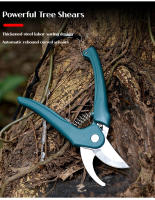Tijeras De Jardín Con Cuerda Antipérdida Para Cortar Ramas Y Brotes Florales Menores a 2.5cm Herramienta De Podar Metálica Con Agarre Antideslizante - details 3