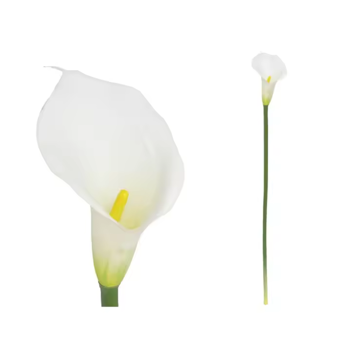Factory Cuadros - 4 VARAS CALA LATEX-72 CM (BLANCO) / FLORES ARTIFICIALES - 1