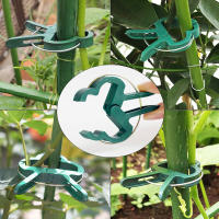 200Pcs Clips Para Fijar Plantes Reutilizables Soporte Para Brotes De Flores Vínculos Vegetales Tomates Suministros De Jardín - details 4