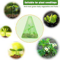 10pcs Caja De Crecimiento Protectora Para Plantas Reutilizable Cubierta De Tiempo En Forma Cuadrada Para Proteger De Pájaros Heladas Y Daño De Caracoles - details 2