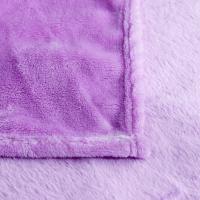 Manta De Felpa Coral Suave Y Cálida Para Invierno 230Gsm Tamaño Variado Lavable Mecánicamente Manta De Silla Y Cama - details 3