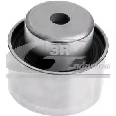 3RG INDUSTRIAL - Rodillo Tensor - OEM 083053 - Piezas para Coche Recambios Motor y Otras Partes de Vehículo - Compatible con los distintos Modelos de Coche. - 1