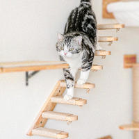 Escalera De Madera Y Algodón Para Gatos Montada En La Pared Con Pasos Para Jugar Y Dormir Mobiliario Para Mascotas Internas Con Rascador - details 2