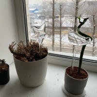 Riega Automático En Forma De Pájaro Para Macetas Herramientas De Jardín Rieador De Agua Para Plantas Sistema De Riego Por Goteo - details 9