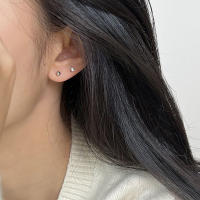 Pendientes De Crystals Zirconia Para Mujer 1Pareja De Estilo Helix Y Bone Nail Piercing En Acero Inoxidable Joyería De Regalo - details 6