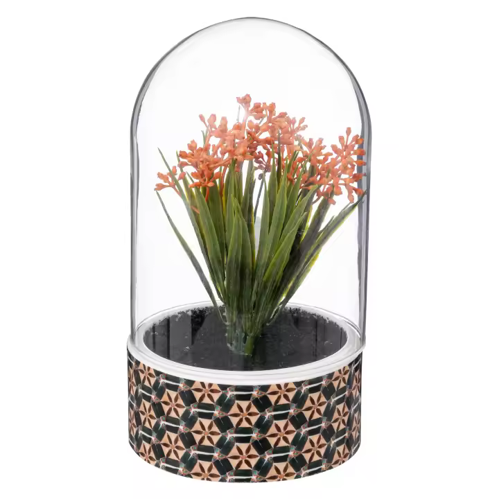 Atmosphera Planta Artificial Ali en Cloche de Cristal H21cm - Decoración de Interiores - 1