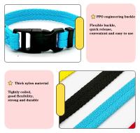 Collar Para Perros De Color Sólido Collar De Entrenamiento Rápido Para Pequeños Y Medianos Perros Adecuado Para Teddy Bichon Material De Poliéster - details 3