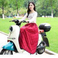 Protector De Rodillas Para Motocicleta Impermeable Y Térmico Para Hombres Y Mujeres Cubierta De Algodón Universal Para Invierno - details 12