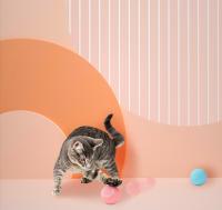 Juguete Interactivo Para Gatos Bola Roolante Rápida En Bolsa Juego De Escondite Para Gatos Juguetes Para Interiores Activado Por Movimiento - details 9