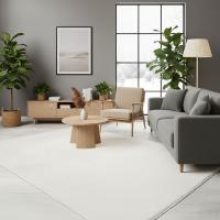 RUGURA - Alfombra Salón Moderna Unicolor Lavable Antideslizante Pelo Corto y Suave - details 0