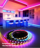 Tira De LED WS2812B RGBIC Inteligente Con 30/60 Pixels Por Metro DC5V USB IP30/IP65/IP67 Luz Mágica Para Decoración De Habitaciones - details 0