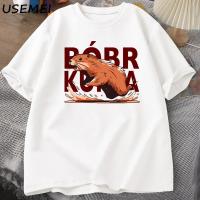 Camiseta Gladiador Bóbr Kurwa Para Hombres Y Mujeres Estampado Del Glorioso Roma Camiseta Gráfica Casual Transpirable Ligera Secado Rápido Protección Solar Sostenible Sin Capucha Estilo O-Neck - details 0