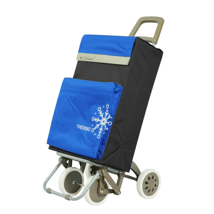 Carrito de Compra Plegable y Ligero - Capacidad 40L, 4 Ruedas, Ideal para Alimentos, Garantía 2 Años (100x41x33cm) - 1