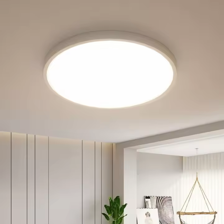 Lámpara de Techo LED Moderna de 24W Luz Ultra-Delgada de 30CM con IP44 - 1