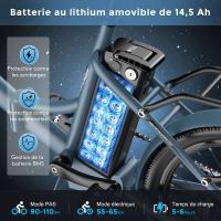 FAFREES F20 Light Bicicleta Eléctrica Plegable para Ciudad Motor de 48V 250W Velocidad Máxima de 25km/h Batería de 14.5Ah Neumático de 20*1.95'' Cambio Shimano de 7 velocidades - details 4