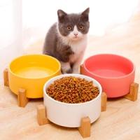 Comedero perro gato de cerámica doble con base de bambú Edipets - details 2