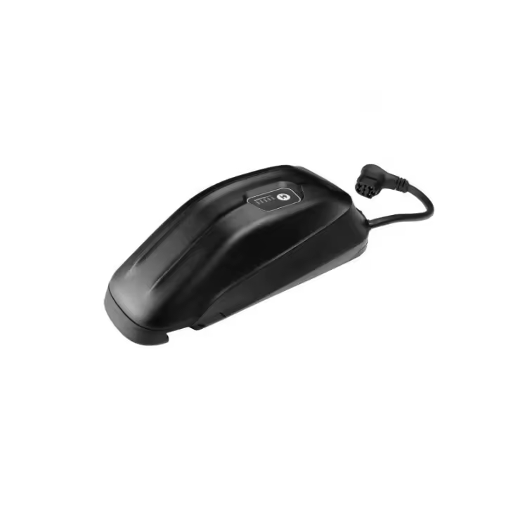 Giant EnergyPak Plus 250Wh 700000032  GIANT   de ciclismo para bicicleta - 1
