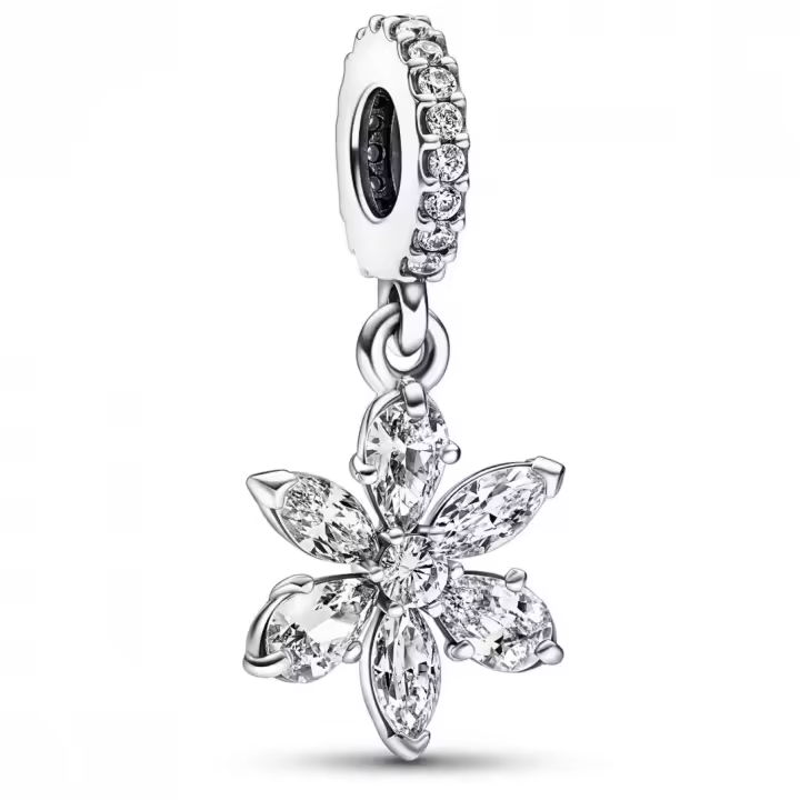 Charm colgante Pandora 792382C01 Timeless - 1