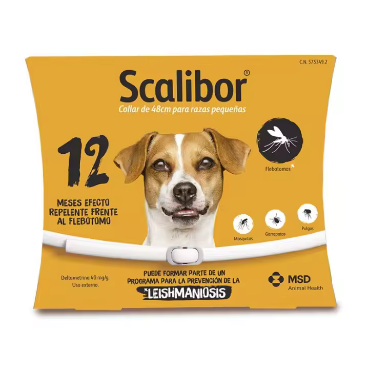 COLLAR PERRO PEQUEÑO 48CM (12MESES) - 1