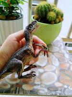Juguete De Dinosaurio Velociraptor Para Niños Con Mandíbula Móvil Juego Y Colección De Dilophosaurus Realista Para Edades 3-12+ - details 11