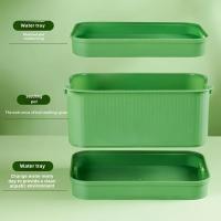 Suelo Sprout Grower Box Elegante Y Compacto Ajuste Universal Para Cocinas Y Hogares Cultiva Verduras Frescas Sin Esfuerzo - details 3