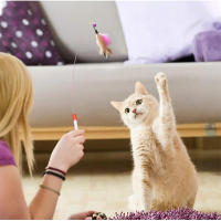 Juego De Juguetes Para Gatos COOYOMOO Pack Variado Con Palito Divertido Ratón Con Campana Y Pelota De Tela Sisal Tunnel Plegable Para Diversion Y Ejercicio De Los Gatos - details 8
