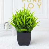 1pc Falsa Planta De Eucalipto Artificial En Maceta Negra Para Decoración De Interiores Oficina Farmacia Baño Estilo Rústico - details 5