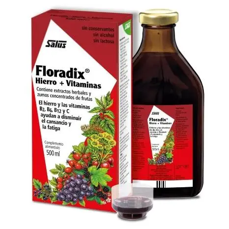 SALUS- FLORADIX 250 Mililitros-Suplemento de Hierro-Ayuda a Reducir el Cansancio y la Fatiga -Contiene Hierro Orgánico y Vitaminas B2,B6,B12 y C-Ideal para Personas con Intolerancias -LINEA MUJER, NATURAL, DOLOR REGLA, MENOPAUSIA, CISTITIS, MUJER - 1