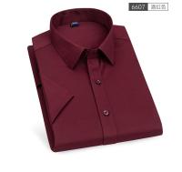 Camisa De Negocios Casual Para Hombre De Color Sólido Slim Fit Cuello En V Manga Larga Alta Calidad Sin Planchar Moda Clásica - details 14