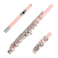Flauta Transversal SLADE 16 Agujeros C Key Con E Key Plata Esmaltada Instrumento Musical Profesional Para Conciertos - details 9