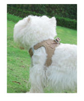 Correa Para Mascotas Ajustable Y Antirrompida De Talle Suave Transpirable Tipo Chaleco Para Perros Y Gatos Pequeños Con Correa Para El Cuello Y La Espalda - details 21