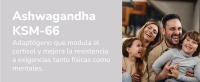 Testosterona para Hombre, Rendimiento Muscular, Fuerza, Vigor, Energía  Fenogreco, Tribulus Terrestris, Ácido D-Aspártico, Ashwagandha KSM-66, Maca Andina, Zinc, Boro y Piperina, 60 Cápsulas (Zeus) - details 6