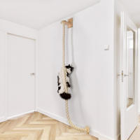 Gimnasio Para Gatos Montado En La Pared De 140cm Hecho De Sisal Poste De Rasguño Juguete Interactivo Para Gatos De Interior Muebles Para Mascotas - details 0