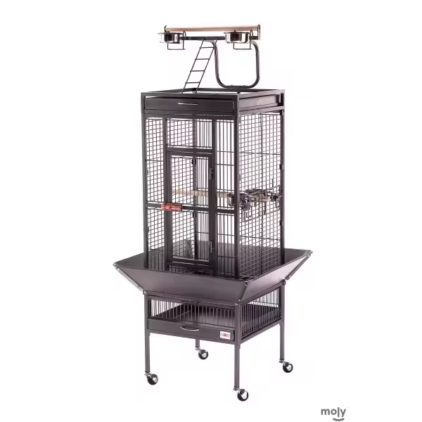 JAULA YACO 45'7 X 45'7 X 156 CM. - 1