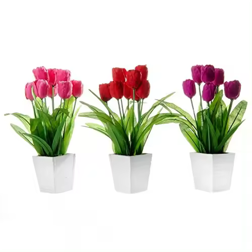Pack 3 Planta Tulipa Decorada Maceta de Madera-DAMDAM GO - 1