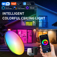 Lámpara De Techo Redonda Inteligente 24W RGB+WW+CW Soporte Para Control Remoto Por Smartphone Iluminación Variable De Color Con Ilusión Lámparas Modernas Para El Hogar - details 1