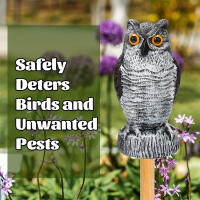 Adorno De Jardín Con Órbitas De Águila Plástico Impermeable Para Disuadir Pájaros Decoración Antipájaros Para Exterior - details 2
