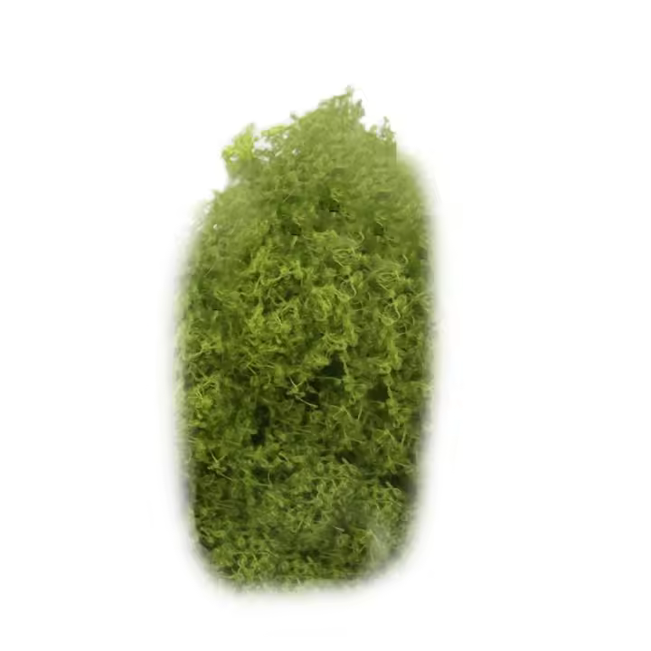 Vine De Cane Artificial Verde 10g Accesorios Para Escenografía Miniatura Crepúsculo Y Hierba Para Juegos De Mesa Y Ferrocarril - 1
