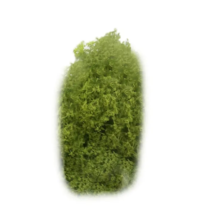 Vine De Cane Artificial Verde 10g Accesorios Para Escenografía Miniatura Crepúsculo Y Hierba Para Juegos De Mesa Y Ferrocarril - 1