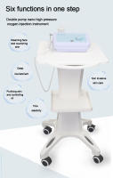 Nueva Máquina De Burbujas De Oxígeno Mágica Limpieza Profunda Piel Suave Y Blanca Eliminación De Piojos Belleza Rejuvenecimiento Facial Japón Dispositivo De Gestión - details 10