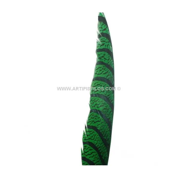 PLUMA DE FAISÁN LADY AMHERST 75-85 CMS. Raíz Productos de Google Shopping Inicio PLUMAS PLUMAS INDIVIDUALES PLUMAS DE FAISÁN - 1