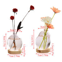 Vaso De Burbuja De Vidrio Nuevo Estilo Nórdico INS Arreglo Floral Moderno Creativo Vaso Sférico Para Decoración De Hogar Regalos De Cumpleaños - details 0